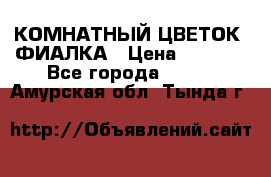 КОМНАТНЫЙ ЦВЕТОК -ФИАЛКА › Цена ­ 1 500 - Все города  »    . Амурская обл.,Тында г.